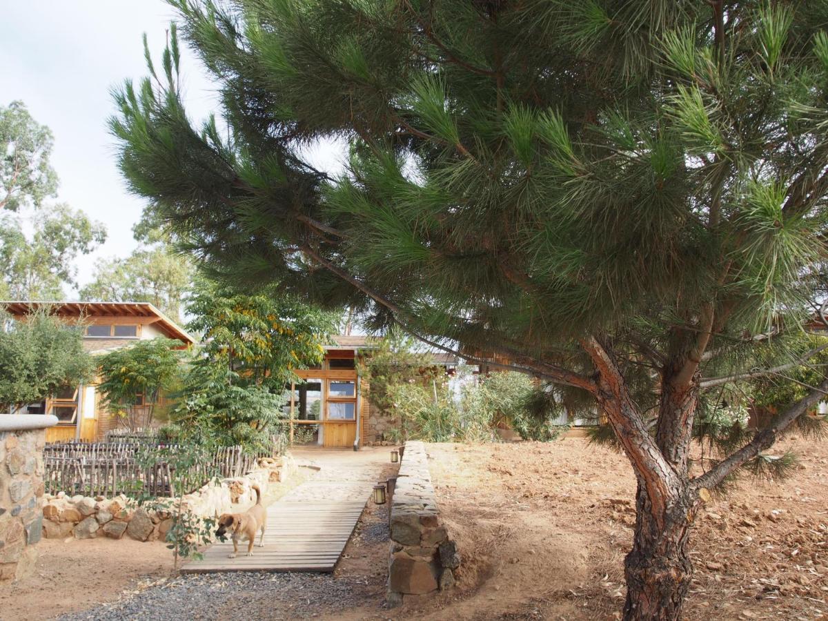 Casa Mayoral B&B Pet Friendly バジェ・デ・グアダルーペ エクステリア 写真