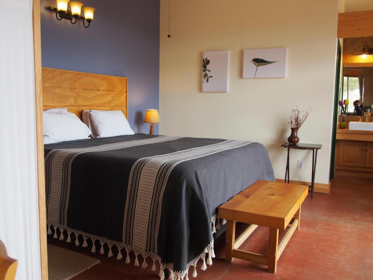 Casa Mayoral B&B Pet Friendly バジェ・デ・グアダルーペ エクステリア 写真
